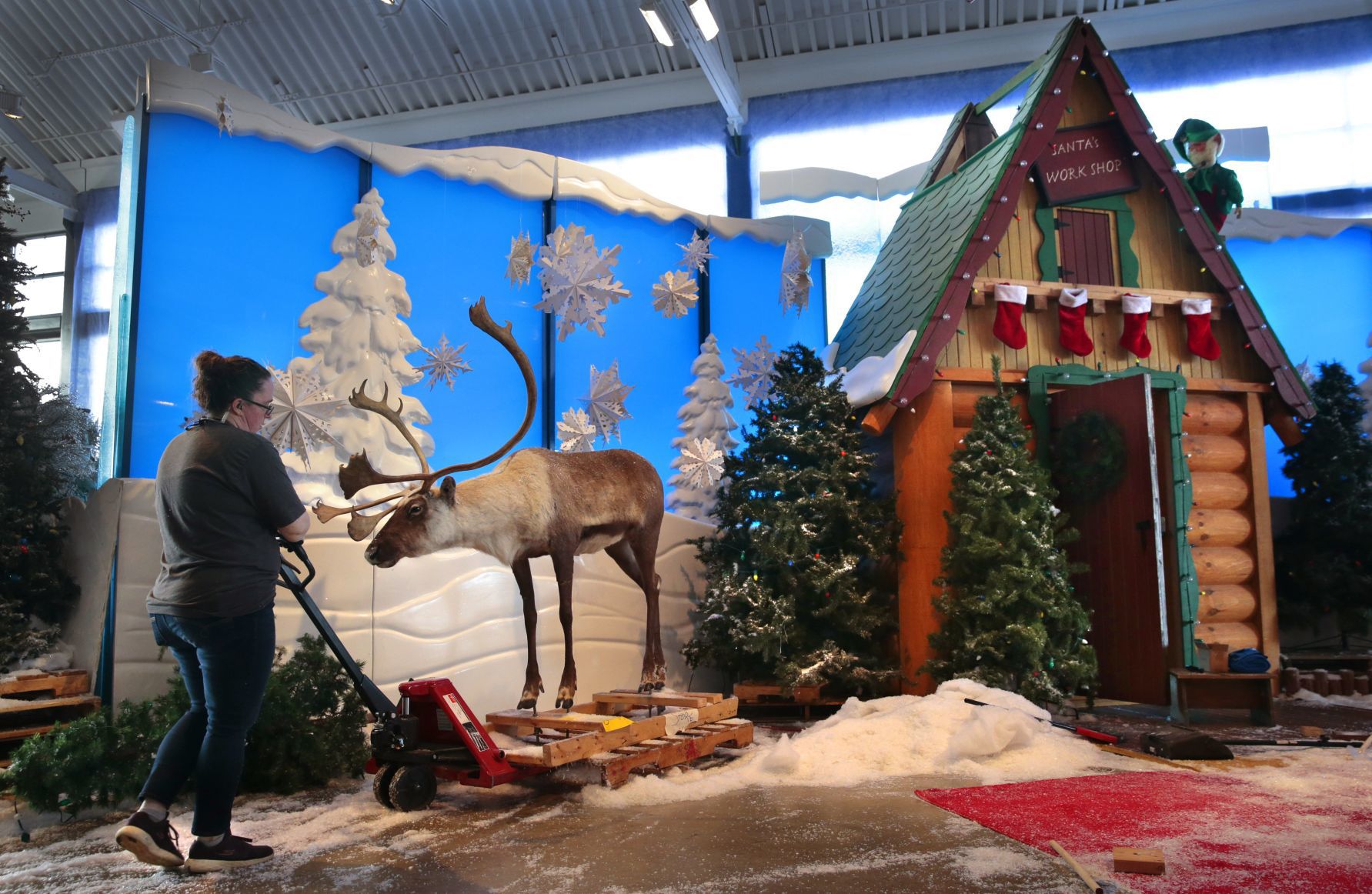 Santa's Wonderland returns to the North Pole